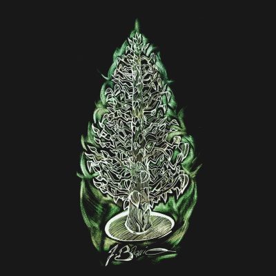 Œuvre graphique inspirée de la nature, art digital et traditionnel en Haute-Savoie et Savoie.